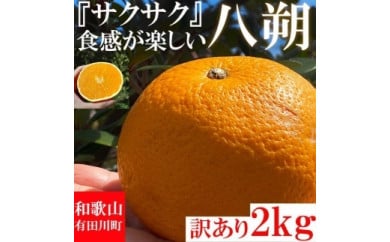 みかん はっさく 八朔 2kg 訳あり  ブランド 和歌山 有田みかん ありだみかん