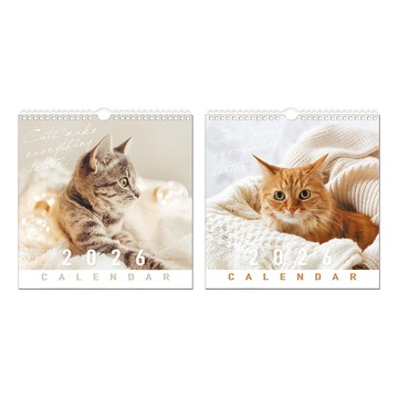 2026年 方型貓咪掛曆A-中【九乘九購物網】