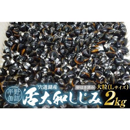 ふるさと納税 宍道湖産活大和しじみ大粒(L)(砂はき済み)　2kg　23012-17 島根県松江市