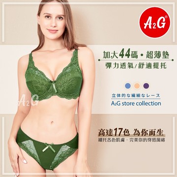 【A2G】隔日到貨【CD罩杯、加大44碼】台灣出貨 T字剪裁 超薄襯墊 大碼內衣 彈性後片 U型美背 舒適透氣 3733