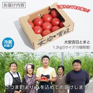 ふるさと納税 s199 さつま町産の大安吉日とまと(約1.2kg)完熟してから収穫した採れたてのトマトをお届け 鹿児島県さつま町