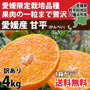 みかん 訳あり 4kg 甘平 かんぺい 濃厚 甘い 高級 愛媛 ご家庭用 有名 人気 お取り寄せ 旬 010112000408