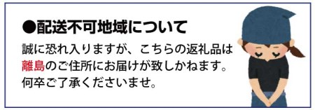 和歌山ラーメン　車庫前系湯浅醤油入　3食入×3箱セット