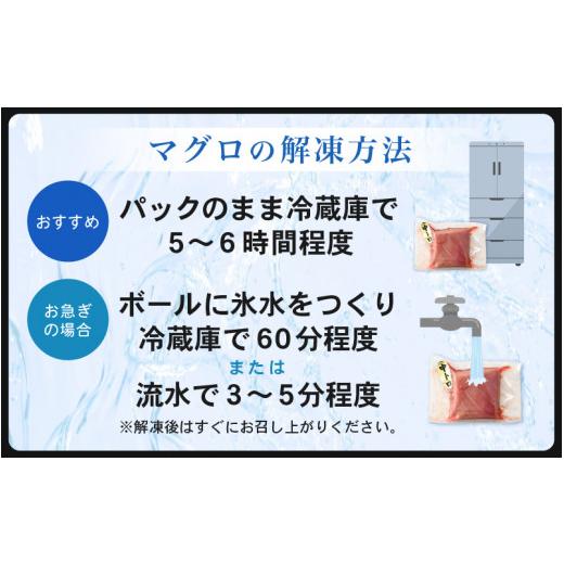 ふるさと納税 福井県 越前町 [e04-a100]  お刺身 セット 甘海老 250g × 2P ＆ 本まぐろ 中トロ 100g × 1P【福井県 冷凍 小分け 刺身 えび エビ 海老 マグロ …