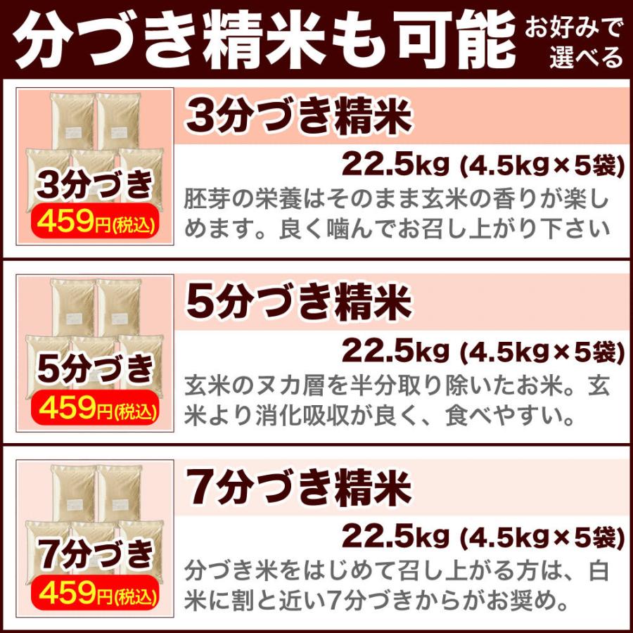 新米 玄米 25kg 新潟産コシヒカリ 令和5年産 米 送料無料 （北海道、九州、沖縄除く）