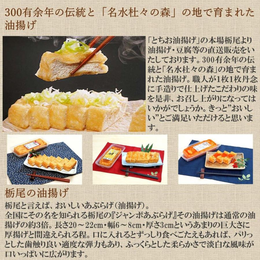 栃尾豆庵　国産大豆とちお揚げ１０枚セット