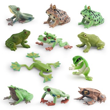 🌈「動物世界」仿真野生動物青蛙模型兒童認知三角枯葉蛙紅眼樹蛙達爾文蛙擺件