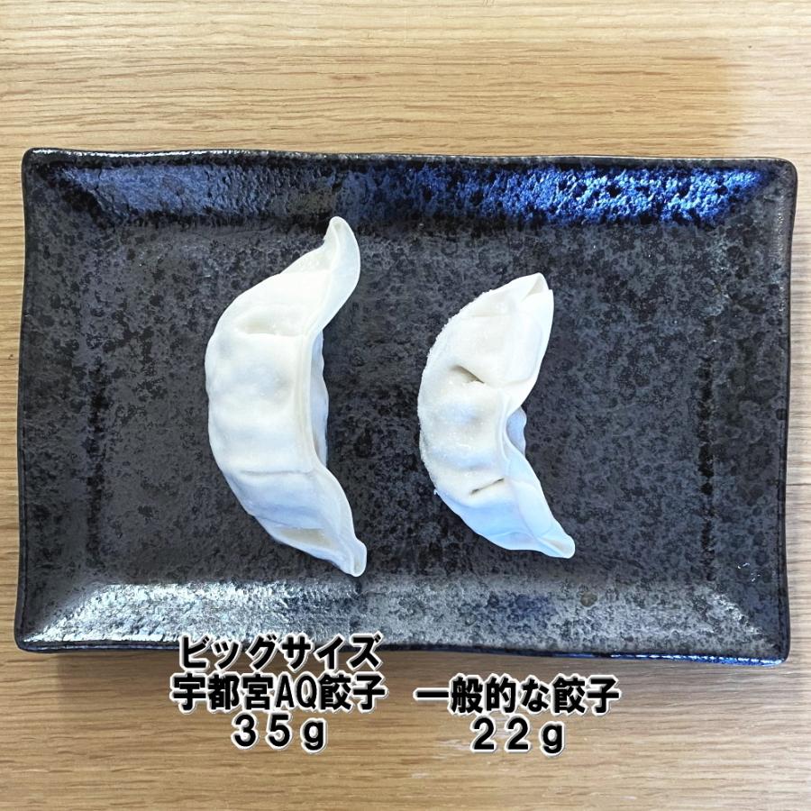 餃子 宇都宮AQ餃子 35ｇ30個入り 冷凍餃子 宇都宮 餃子 ぎょうざ ギョーザgyouza 栄久食品 お取り寄せ