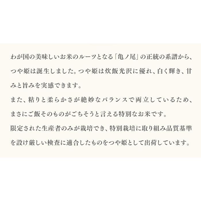 令和5年産 山形県産ブランド米 つや姫 5kg お米 ご飯 おにぎり 白米 庄内米