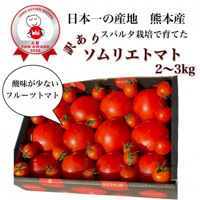 ふるさと納税 玉名市 受賞歴3回!訳ありソムリエトマト2〜3kg(8玉〜16玉)×2箱