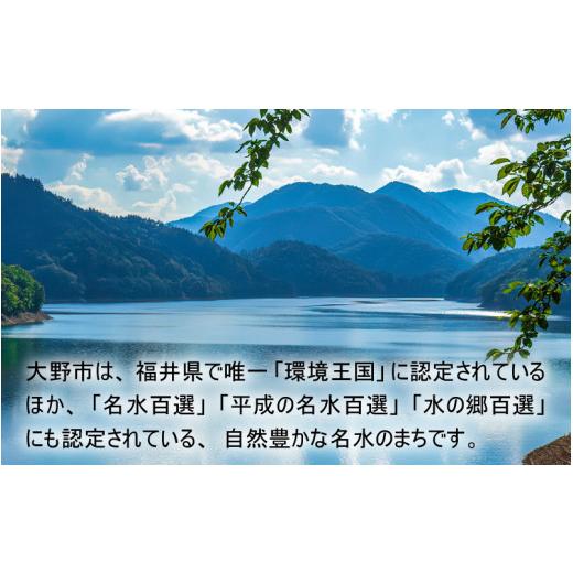 ふるさと納税 福井県 大野市 減農薬・減化学肥料の特別栽培コシヒカリ 玄米 5kg