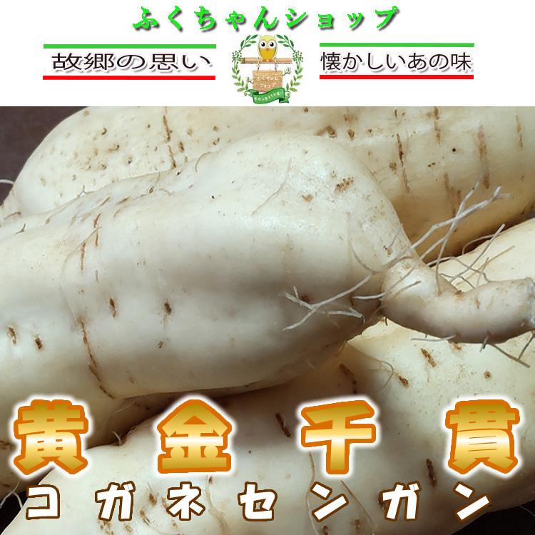 さつま芋　黄金千貫×２kg　砂付き