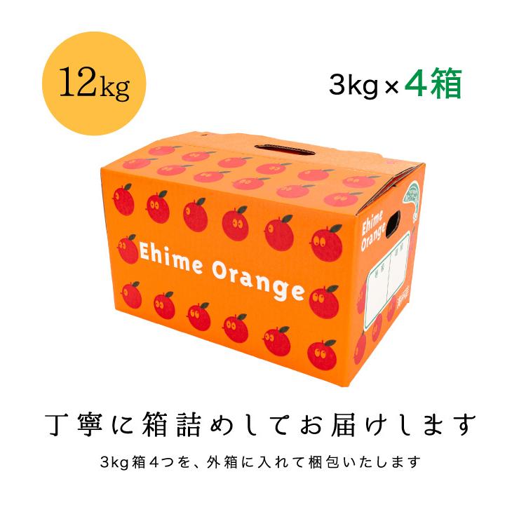 「小玉みかん12」味センサー合格品愛媛西宇和産小玉みかん3kg×4箱 2S-S玉