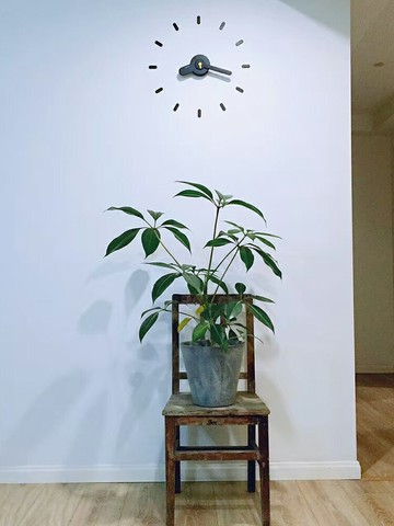 北歐極簡免打孔掛鐘墻鐘家用創意墻貼時鐘裝飾掛表 簡約網紅輕奢