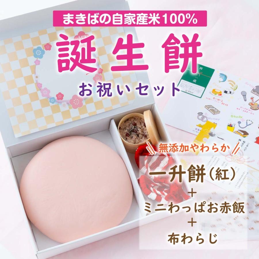 一升餅 誕生餅 ふみもち 1歳お祝い 紅のみ1升 赤飯 わらじ 風呂敷 えらびとりカード お名前誕生日入 お餅レシピ 小分け袋付