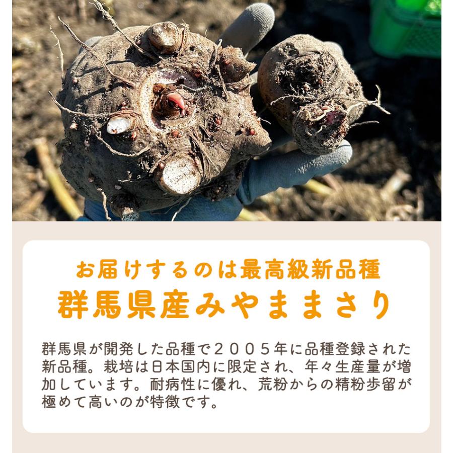 こんにゃくパーク こんにゃく芋 群馬県産 みやままさり 生芋こんにゃく 産地直送 1kg 凝固剤10gサービス