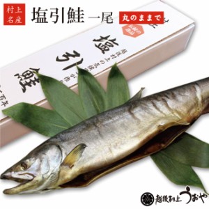 塩引鮭 塩引き鮭 生時4kg台後半 一尾 丸のままでお届け (漁獲時生目方4.7～4.9kg)　塩引 鮭 さけ サケ さけ 贈答 ギフト 村上 新潟県