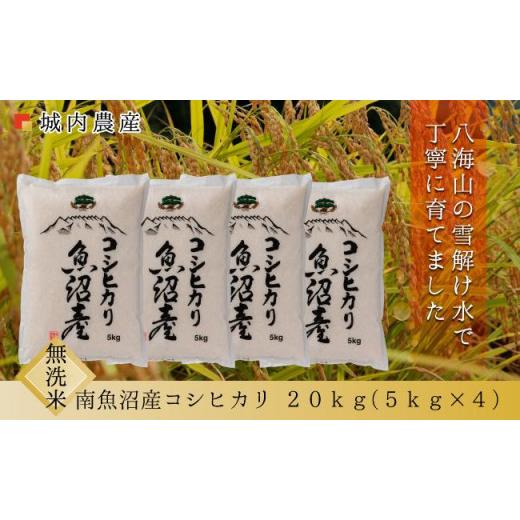 ふるさと納税 新潟県 南魚沼市 新米 令和５年産 南魚沼産コシヒカリ 無洗米２０ｋｇ　 城内農産