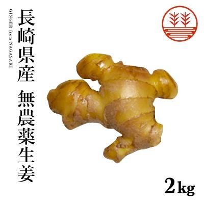 無農薬 生姜 2kg 長崎県産 国産 送料無料 生姜 しょうが ショウガ 根生姜 佃煮 薬味 きざみ 生姜 生姜焼き 唐揚げ