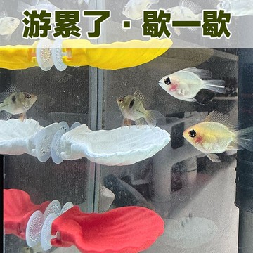 隔日達🔥魚缸造景擺件貝殼魚牀小魚水族箱鬥魚休息產卵仿真扇貝睡覺裝飾品LWO0