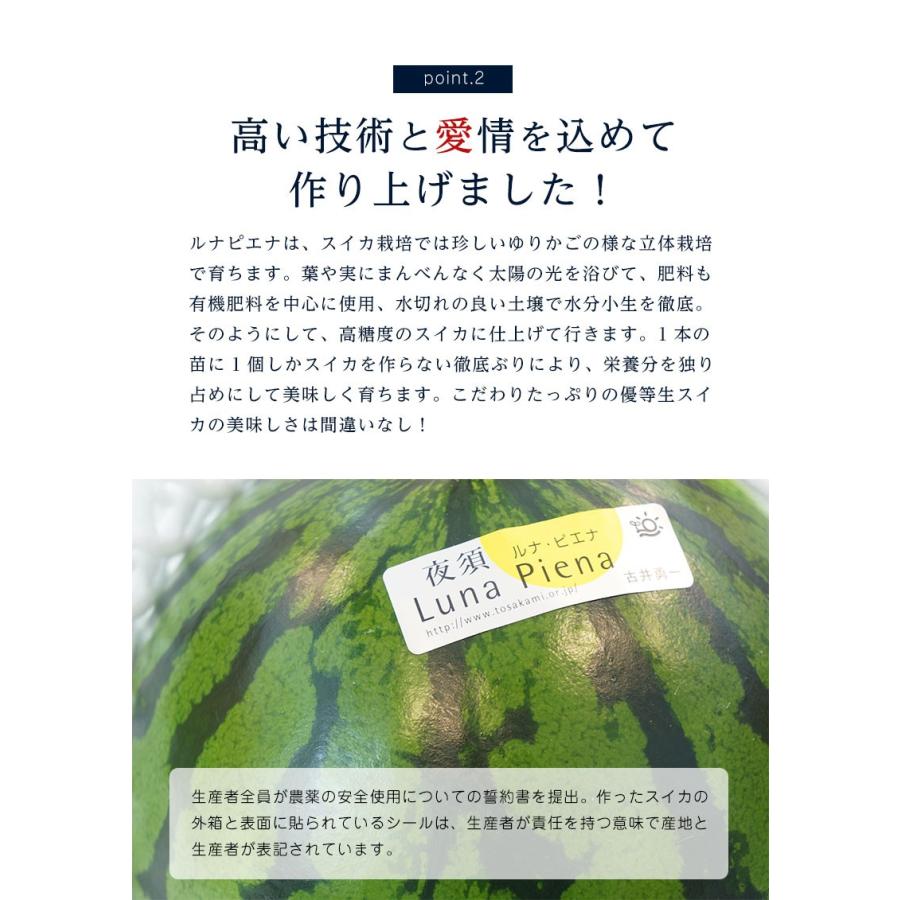 高知県産 夜須 すいか ルナピエナ 　約2kg スイカ ギフト 贈答 プレゼント 内祝い