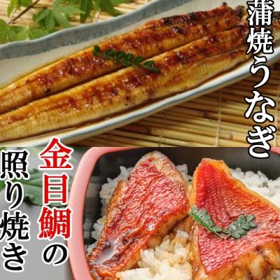 ふるさと納税 室戸市 金目鯛照焼きと厳選うなぎの蒲焼セット