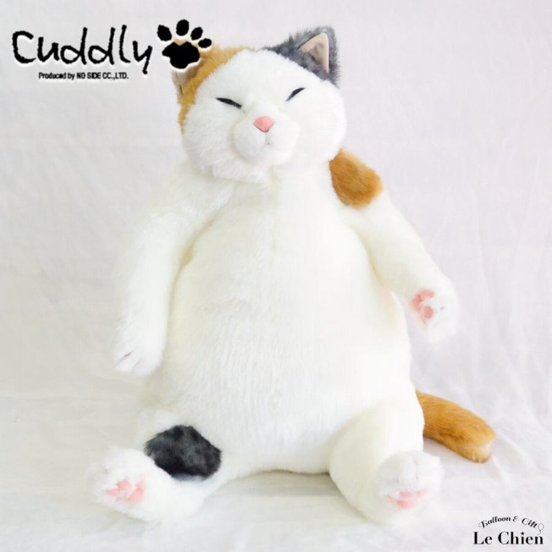 Cuddly（ぬいぐるみ） 猫 ぬいぐるみ マリア Cuddly カドリー猫