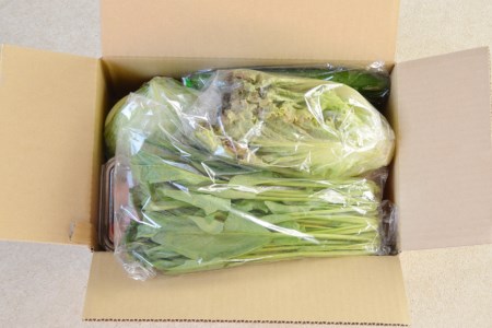 雲（う～ん）と仙（ぜん）ぶ食べられる野菜セット（8～10品）＜肥前グローカル＞