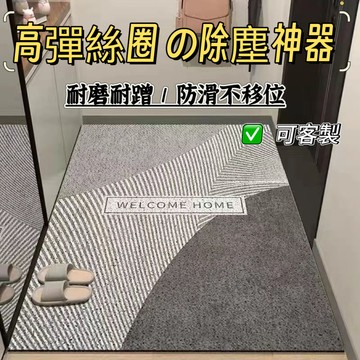 玄關地墊🔥絲圈地墊🔥門口地墊 進門地墊 刮泥地墊 腳踏墊玄關 玄關地墊絲圈 刮泥蹭土 地墊 可裁剪 客製化【雲朵居家】