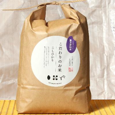 ふるさと納税 能美市 石川県産コシヒカリ 10kg×1袋　漢方肥料米