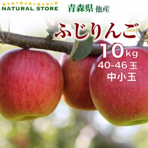 [予約 11月1日-3月30日の納品] ふじ フジ 5kg 20玉-23玉 中小玉 産地箱 青森県産 長野県産 JA津軽みらい 他 りんご　冬ギフト お歳暮 御