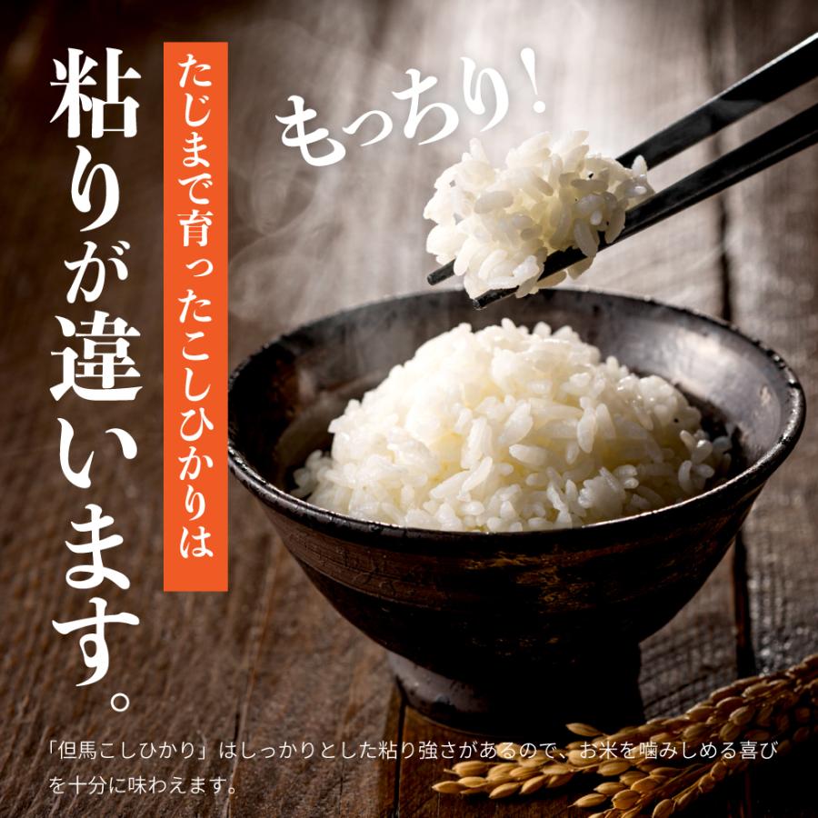 令和5年産 食味 特A 兵庫県 但馬産 コシヒカリ 10kg 5kg×2袋 精白米 天空の城 竹田城 コウノトリ 県北 １０ｋｇ