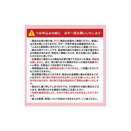 ふるさと納税 長野県 小諸市 2024年発送 先行予約 浅間水蜜桃 みつおかの もも 川中島白桃 秀品 約5kg 長野県産 小諸市 桃 [No.5915-0503]