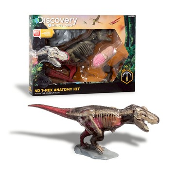 Discovery 超擬真暴龍解剖模型組｜聖誕禮物 親子互動 恐龍 模型玩具 生日禮物｜4894088047882