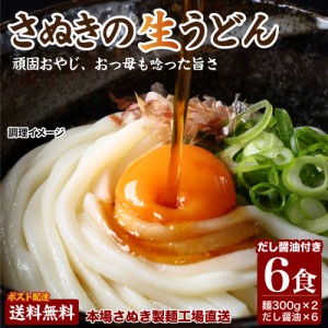 送料無料 讃岐生うどん 普通麺 専用醤油付セット 6人前 (300g×2袋) ポイント消化 お試し