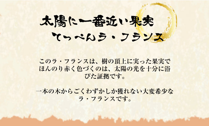 [予約 11月15日～12月25日納品]  山形県産 洋梨 てっぺん ラ・フランス 3kg 6玉-11玉 山形県 JAさくらんぼひがしね 果樹王国 ラフランス ギフト