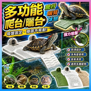 放風爬蟲大王🦎【多功能爬台/曬台】烏龜飼養盒 飼養箱 爬蟲屋 洞穴 守宮屋 躲藏 躲避屋 爬蟲 蜥蜴 蠍子 陸龜 爬蟲
