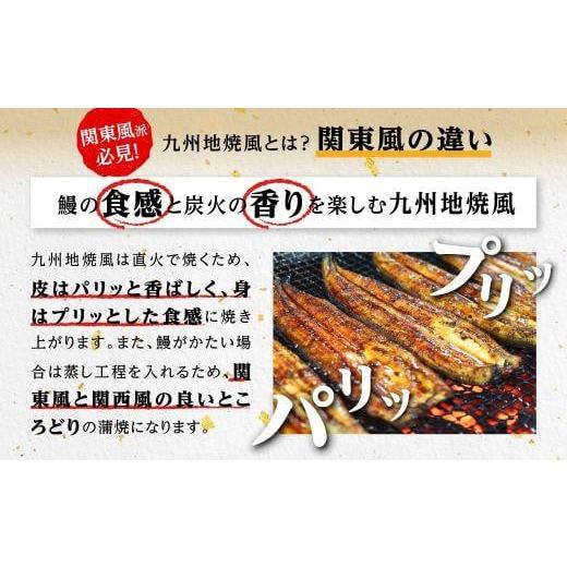 ふるさと納税 鹿児島県 大崎町 うなぎ備長炭手焼蒲焼２尾(合計300g以上）