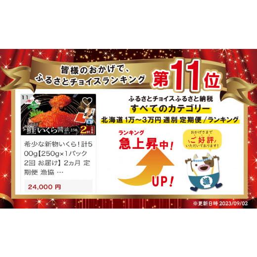 ふるさと納税 北海道 別海町 希少な新物いくら！計500g 2ヵ月 定期便 漁協 直送！本場「北海道」 いくら 醤油漬け（ 定期便 海鮮…