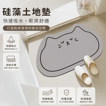 隔日達🏠浴室地墊【40*60】 硅藻土地墊 卡通地墊 硅藻泥地垫 簡約浴室腳墊 玄關墊 浴室地墊 矽藻土地墊