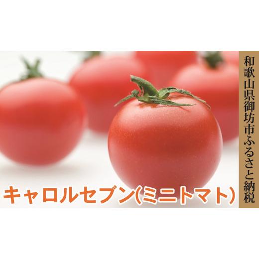 ふるさと納税 和歌山県 御坊市 御坊市　旬の野菜・果物定期便（春・夏・秋・冬）4回　(2)