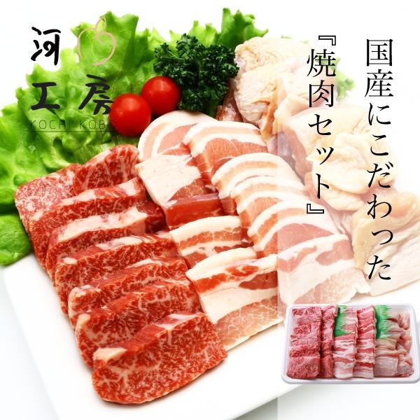 焼肉セット 牛 豚 鶏セット 和牛カルビ 160g 国産豚カルビ 200g 国産鶏もも 200g 総重量560g