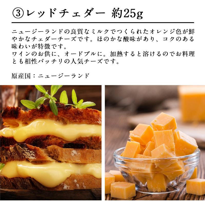 6種チーズプレートコレクション 約150g（約25g×6種）［賞味期限：お届け後10日以上］［冷蔵］