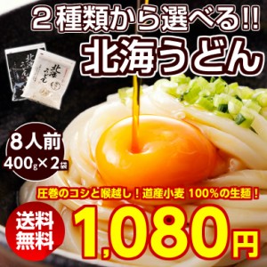 うどん 送料無料半生 讃岐うどんに負けない旨さ セット 詰め合わせ