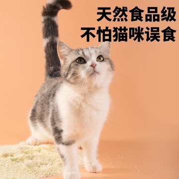 台灣現貨 除臭小蘇打 貓砂好伴侶 BFUN小蘇打除臭顆粒 貓砂除味劑 貓砂伴侶 貓砂盆專用 幹燥除濕 殺軍除臭 輔助結團