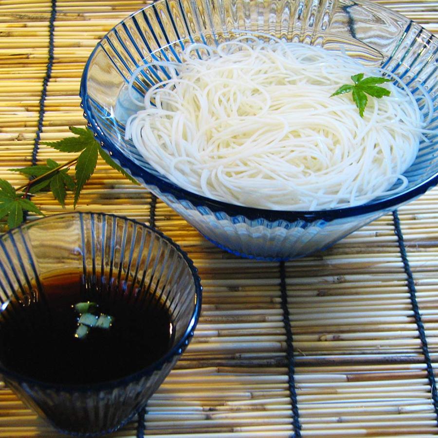 藤原製麺 そうめん 乾麺 ソーメン 200 g×30束 北海道産地粉 使用 北海道 素麺