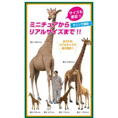 HANSA ハンサ ぬいぐるみ 5438 ホッキョクグマの仔 シロクマ しろくま 白くま こぐま リアル 動物 | LINEブランドカタログ