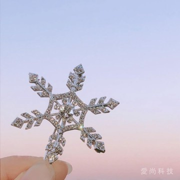 雪花髮夾 邊夾 髮卡 髮飾  頭飾 早春配飾夾子頭飾劉海夾飾品卡子