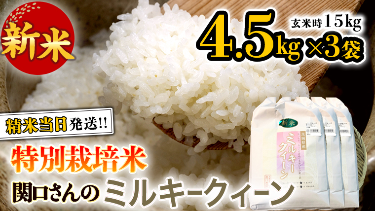 《 特別栽培米 》 令和5年産 精米日出荷 関口さんの「 ミルキークイーン 」 4.5kg × 3袋 玄米時 15kg 新鮮 精米 米 こめ コメ 特別栽培農産物 認定米 新米 [AM095us]