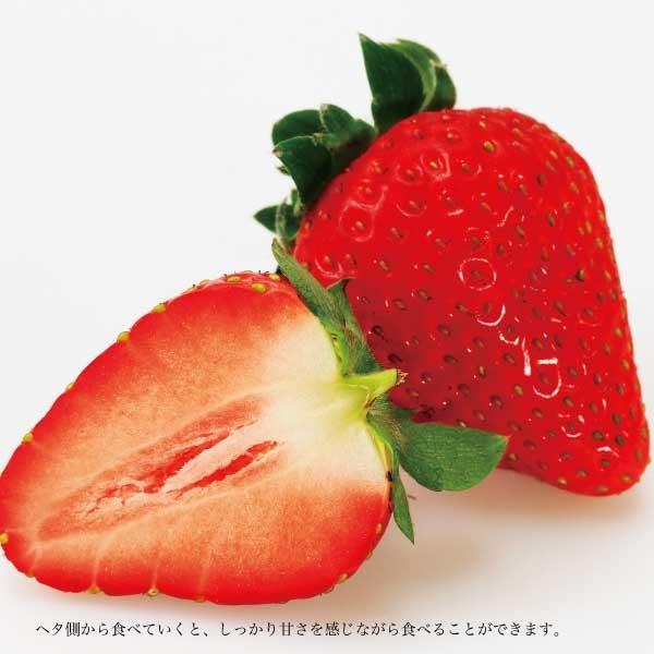 ギフト おいCベリー 苺 いちご イチゴ 1パック 12個入り 約400g strawberry たっぷりビタミンC  産地直送 お取り寄せ